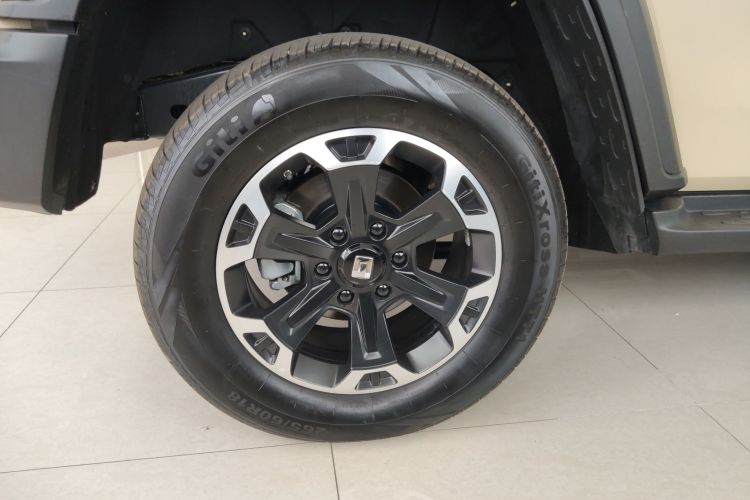 Tank 300 New Energy 2025 imagen de coche #11