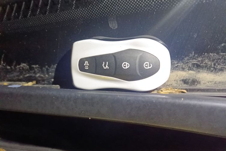 GEELY Tugella New Energy 2019 car image #11