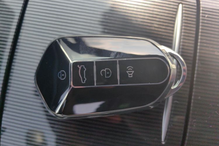 Livan 7 2024 car image #11