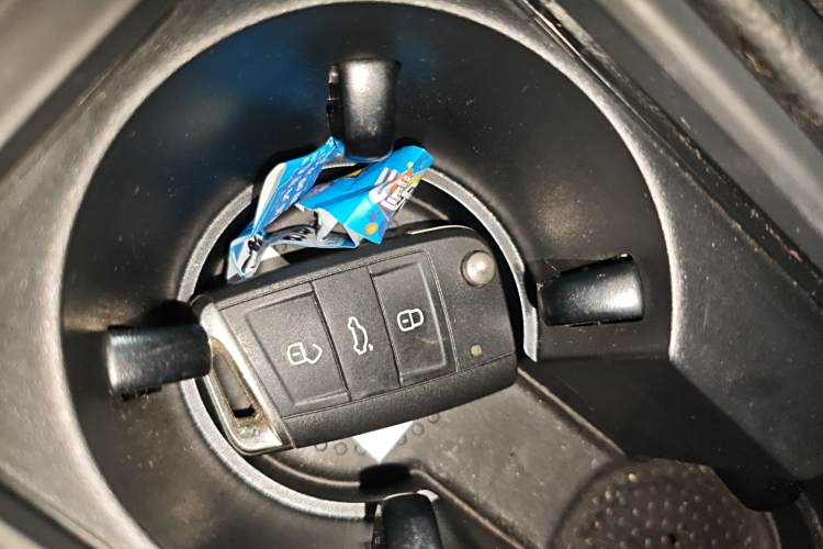 Volkswagen Golf Pure Electric 2020 car image #11