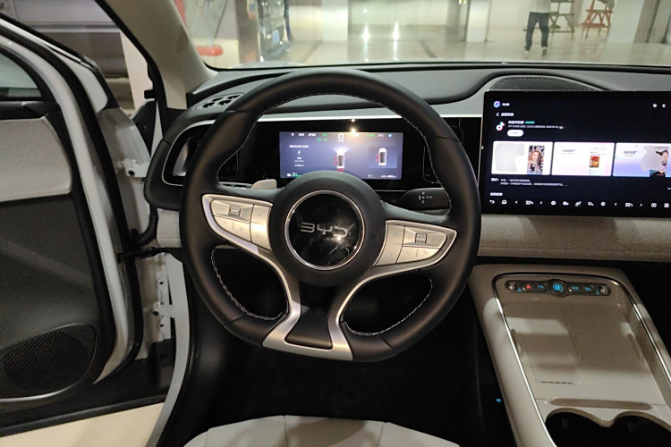 BYD Sea Lion 05 EV 2025 #11 BYD Sea Lion 05 EV 2025 car image #11