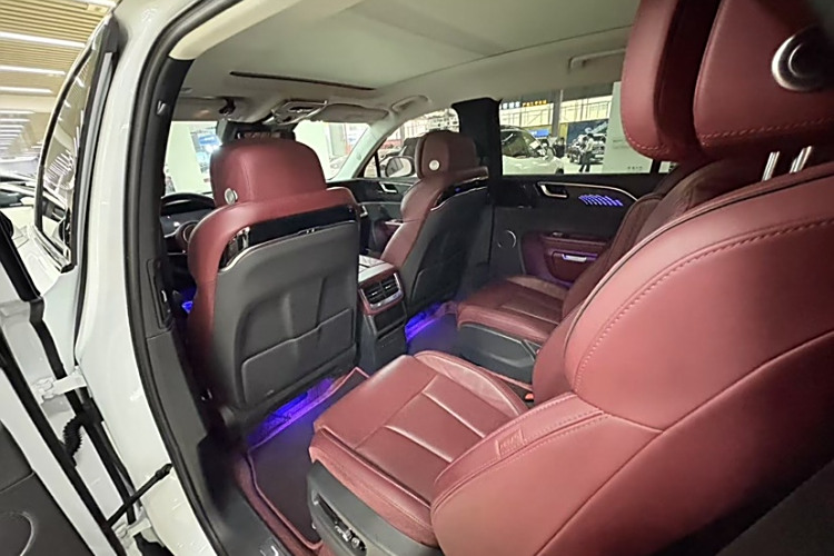 HongQi E-HS9 2021 immagine di auto #11