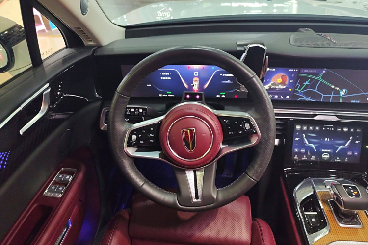 HongQi E-HS9 2021 immagine di auto #11