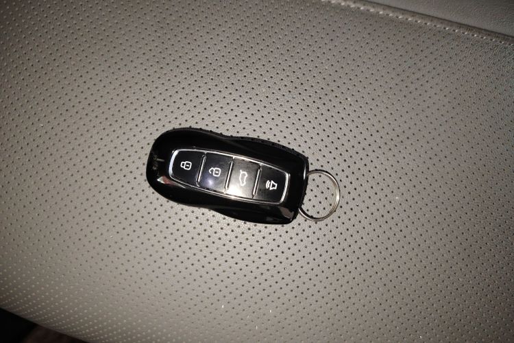 Ford Equator Sport New Energy 2024 car image #11