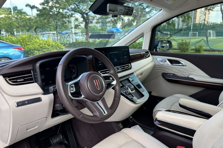 HongQi HQ9 2022 immagine di auto #11