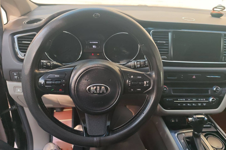 Kia Carnival (Imported) 2016 car image #11