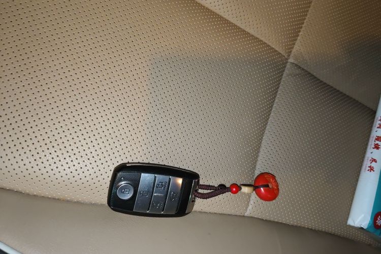 Kia Carnival (Imported) 2016 изображение автомобиля #11