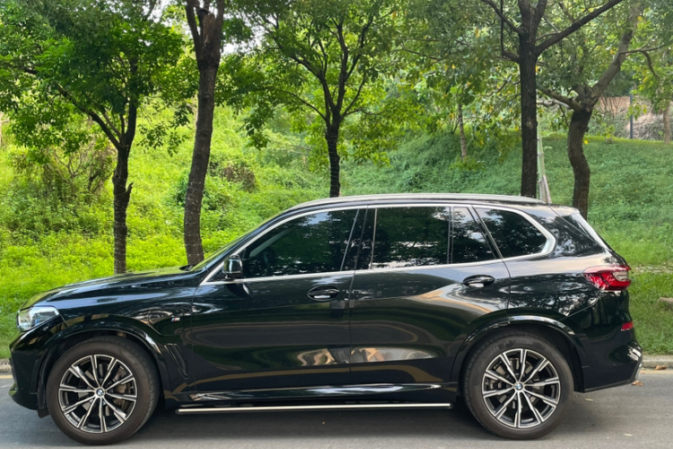 BMW X5 New Energy (Imported) 2021 car image #11