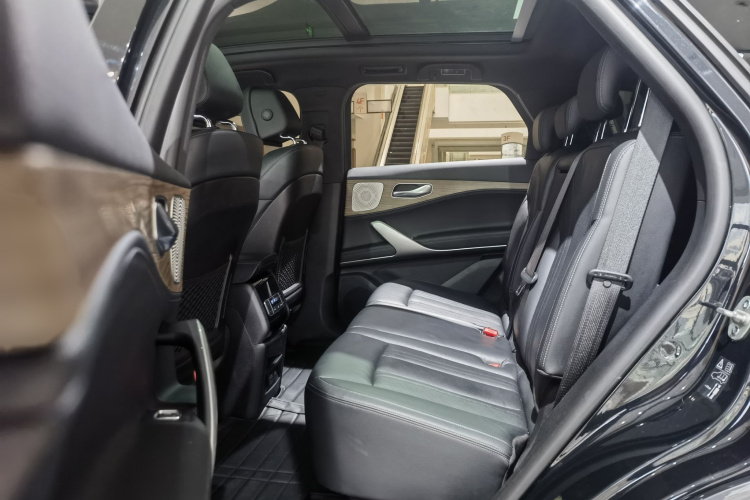 Denza X 2022 image de voiture #11