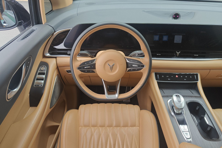 岚图汽车 岚图梦想家 2022 汽车图片 #11