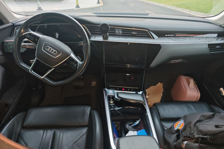 Audi e-tron (Imported) 2021 car image #11