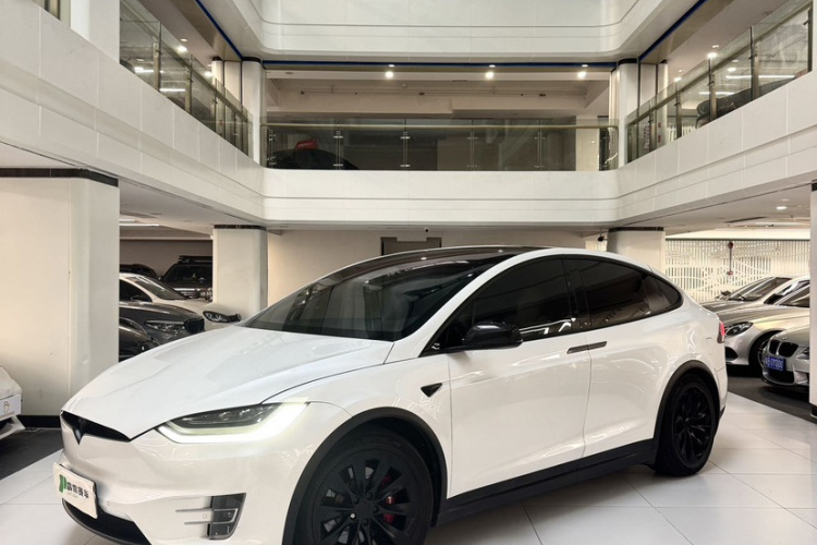 Tesla Model X 2019 car image #11