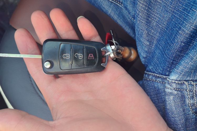 Haval H5 Class 2018 #11 Haval H5 Class 2018 car image #11