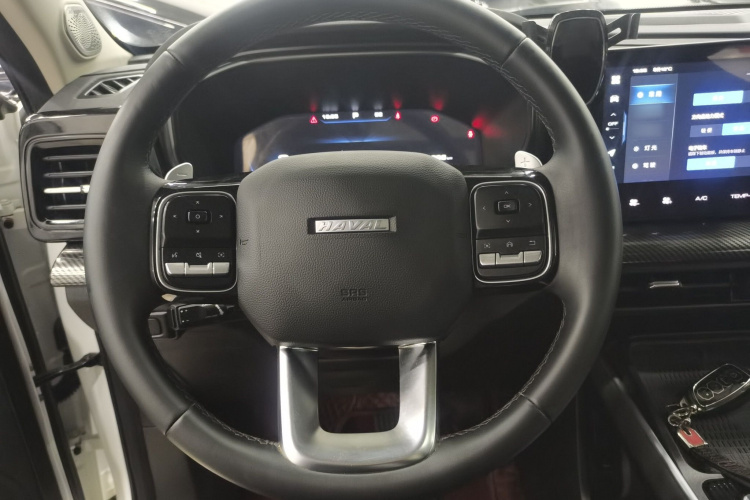 Haval Dargo 2023 car image #11