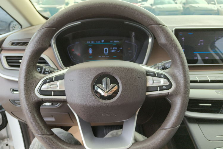 睿蓝汽车 枫叶80v 2021 汽车图片 #11