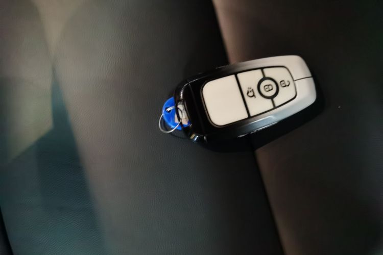 福特 福特烈马 2024 #11 福特 福特烈马 2024 汽车图片 #11