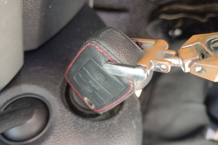 大众 朗逸纯电 2021 #11 大众 朗逸纯电 2021 汽车图片 #11