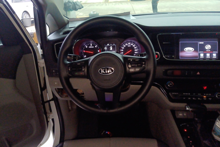 Kia Carnival (Imported) 2018 car image #11