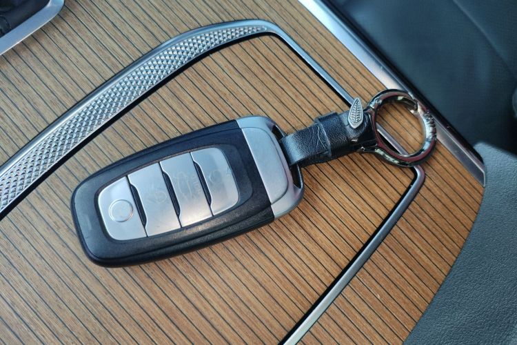 HongQi E-HS9 2022 #11 HongQi E-HS9 2022 car image #11