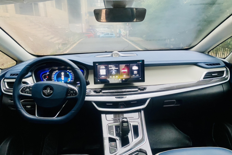 Livan Maple 80V PRO 2023 imagen de coche #11