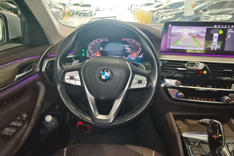 BMW 5 Series 2020 car image #11
