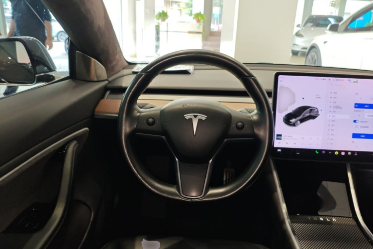 特斯拉 Model 3(进口) 2019 汽车图片 #11