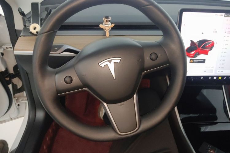 特斯拉 Model 3(进口) 2019 汽车图片 #11