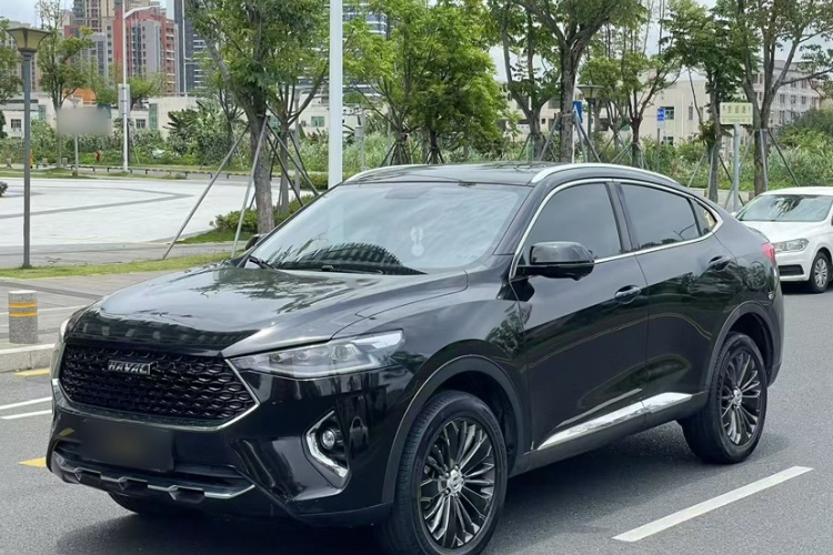 Haval F7x 2020 car image #11