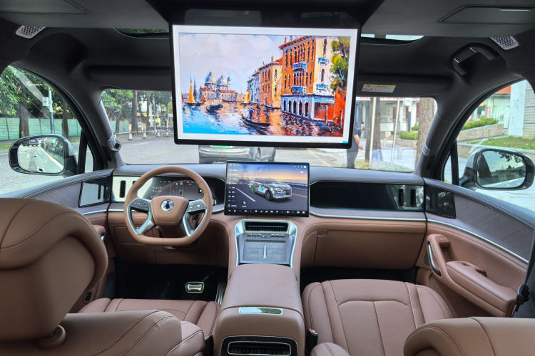 Denza N9 car image #11