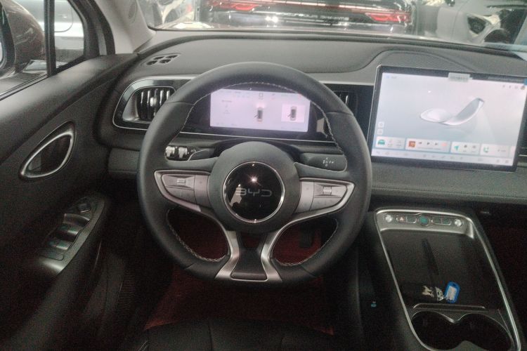 BYD Sea Lion 05 EV 2025 car image #11