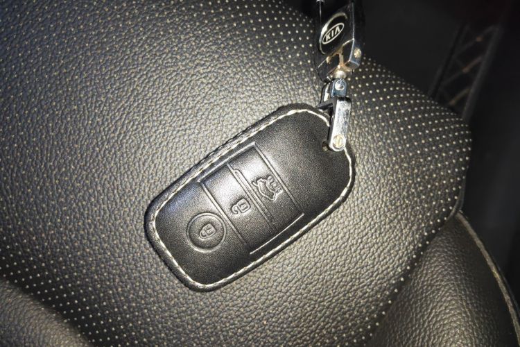 起亚 起亚K5新能源 2019 汽车图片 #11