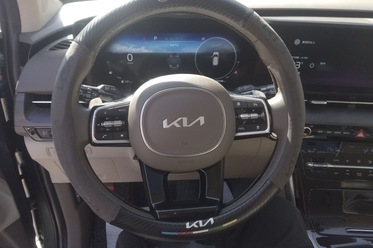 起亚 嘉华 2022 汽车图片 #11