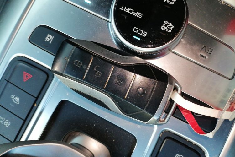 Denza X 2020 car image #11