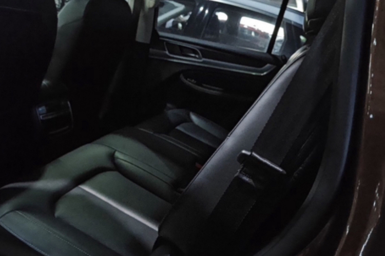 Roewe RX8 2019 image de voiture #11