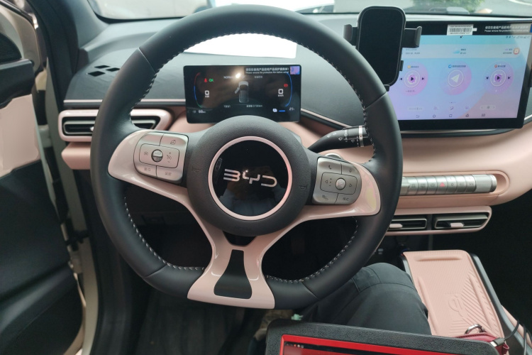 BYD Seagull 2025 car image #11