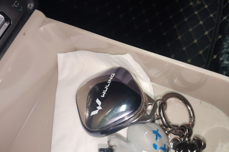 五菱汽车 五菱缤果PLUS 2025 汽车图片 #11