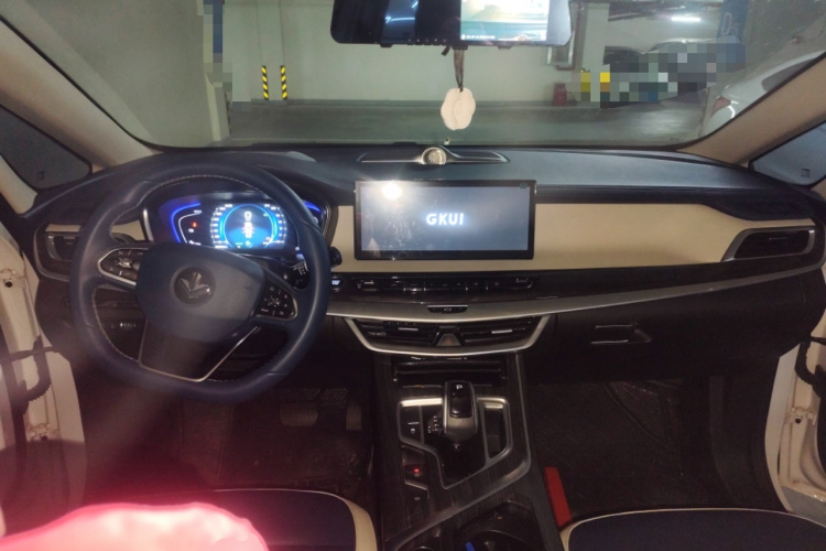 睿蓝汽车 枫叶80v PRO 2023 汽车图片 #11