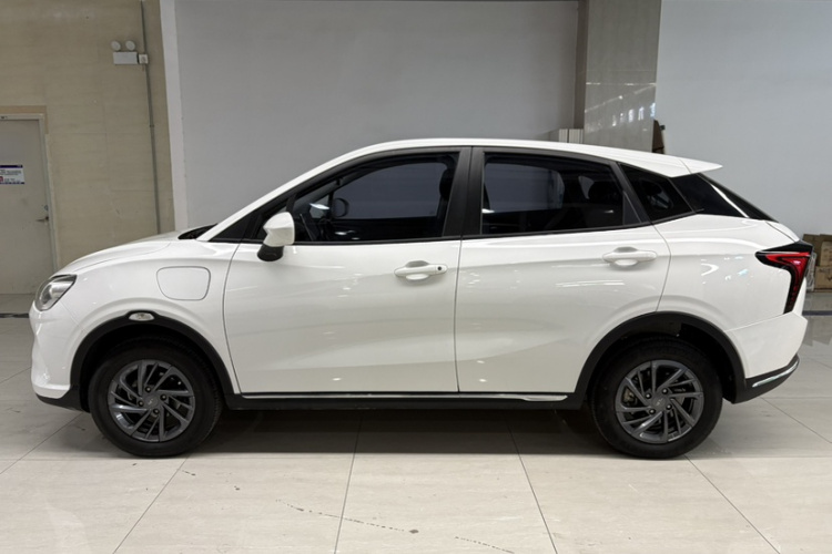 Neta V 2023 imagen de coche #11