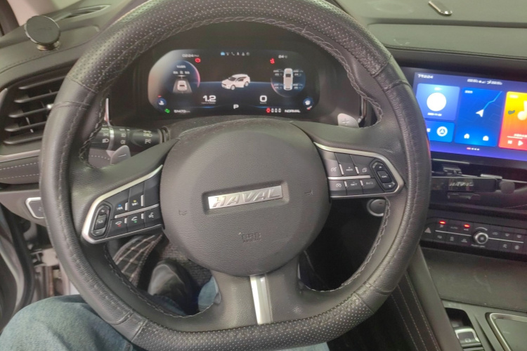 Haval F7 2020 car image #11