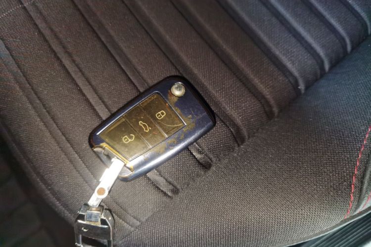 大众 朗逸 2023 汽车图片 #11