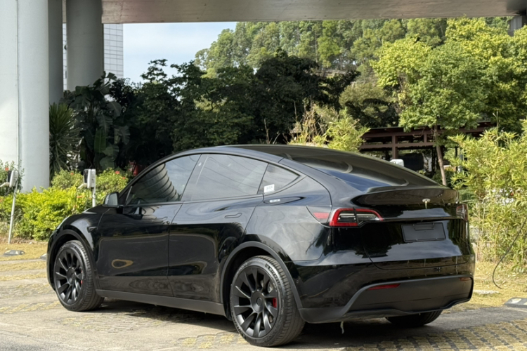 Tesla Model Y 2021 #11 Tesla Model Y 2021 car image #11