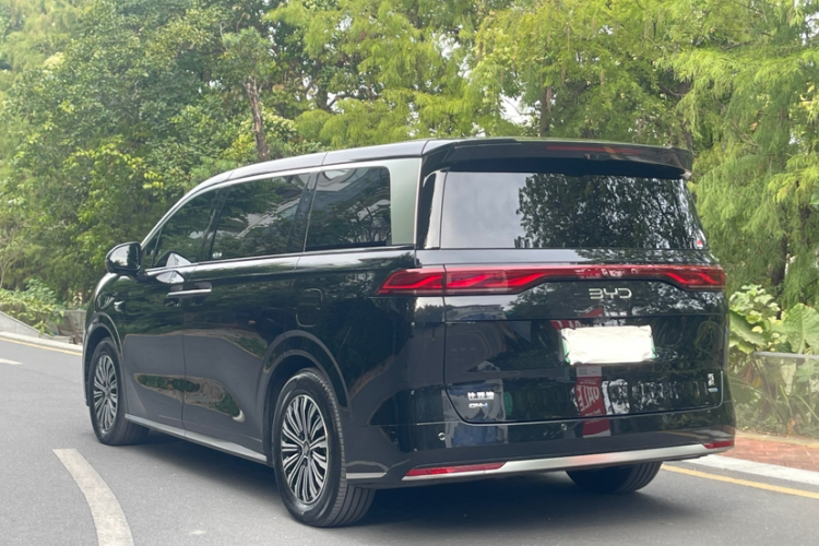 BYD Xia 2024 immagine di auto #11