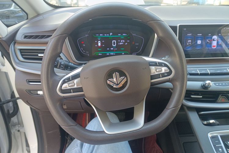 睿蓝汽车 枫叶80v 2021 汽车图片 #11