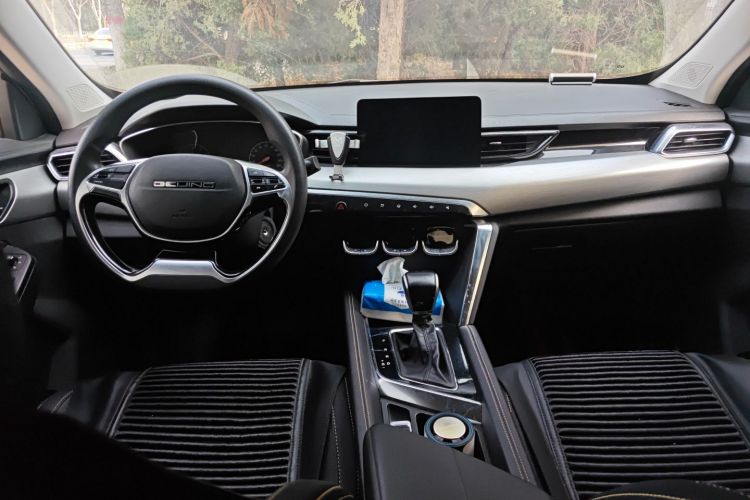 Beijing X3 2021 imagem de carro #11