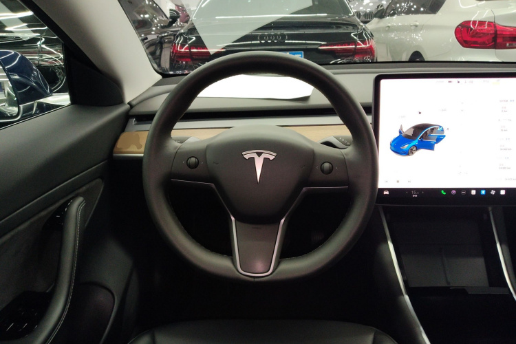 Tesla Model 3 2021 image de voiture #11