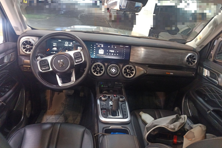 Tank 300 2022 car image #11