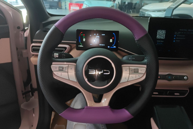 BYD Seagull 2025 car image #11