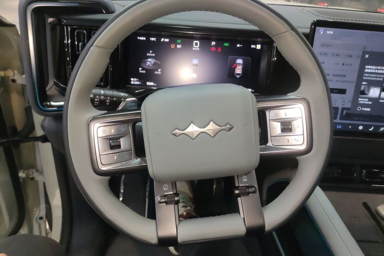 FangChengBao Leopard 5 2025 #11 FangChengBao Leopard 5 2025 car image #11