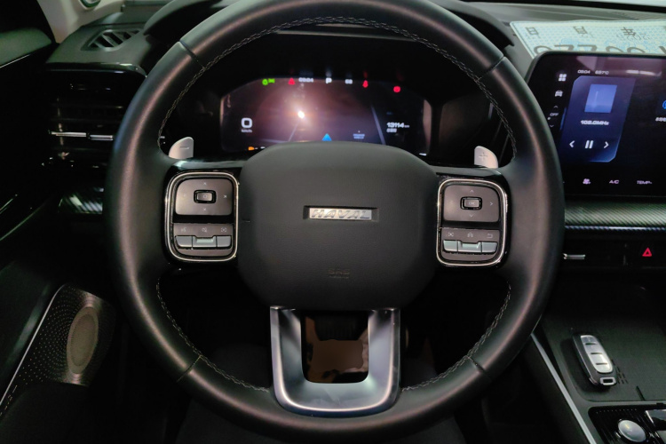 Haval Dargo 2023 car image #11