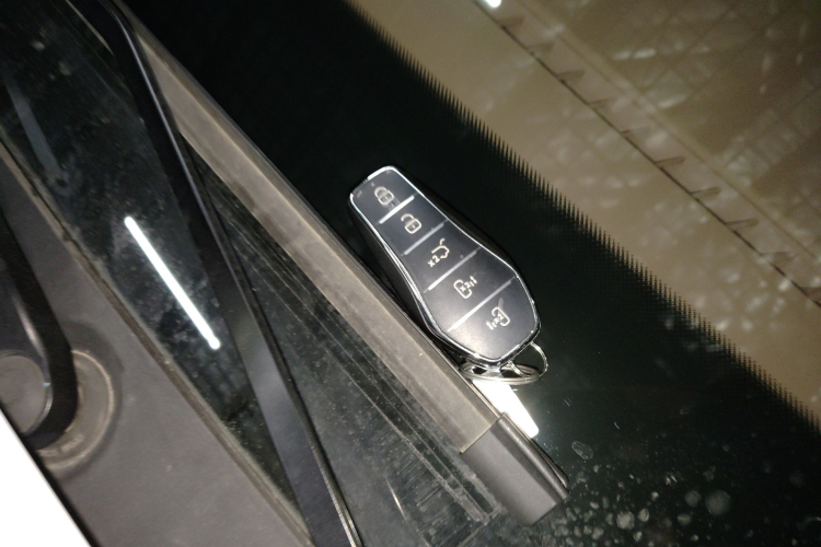 BYD Xia 2024 #11 BYD Xia 2024 immagine di auto #11